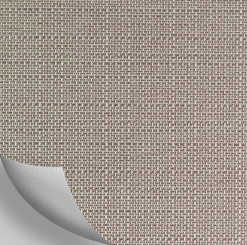 ARENA